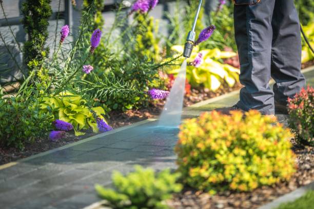 Best Post-Construction Pressure Washing  in Alba, NY